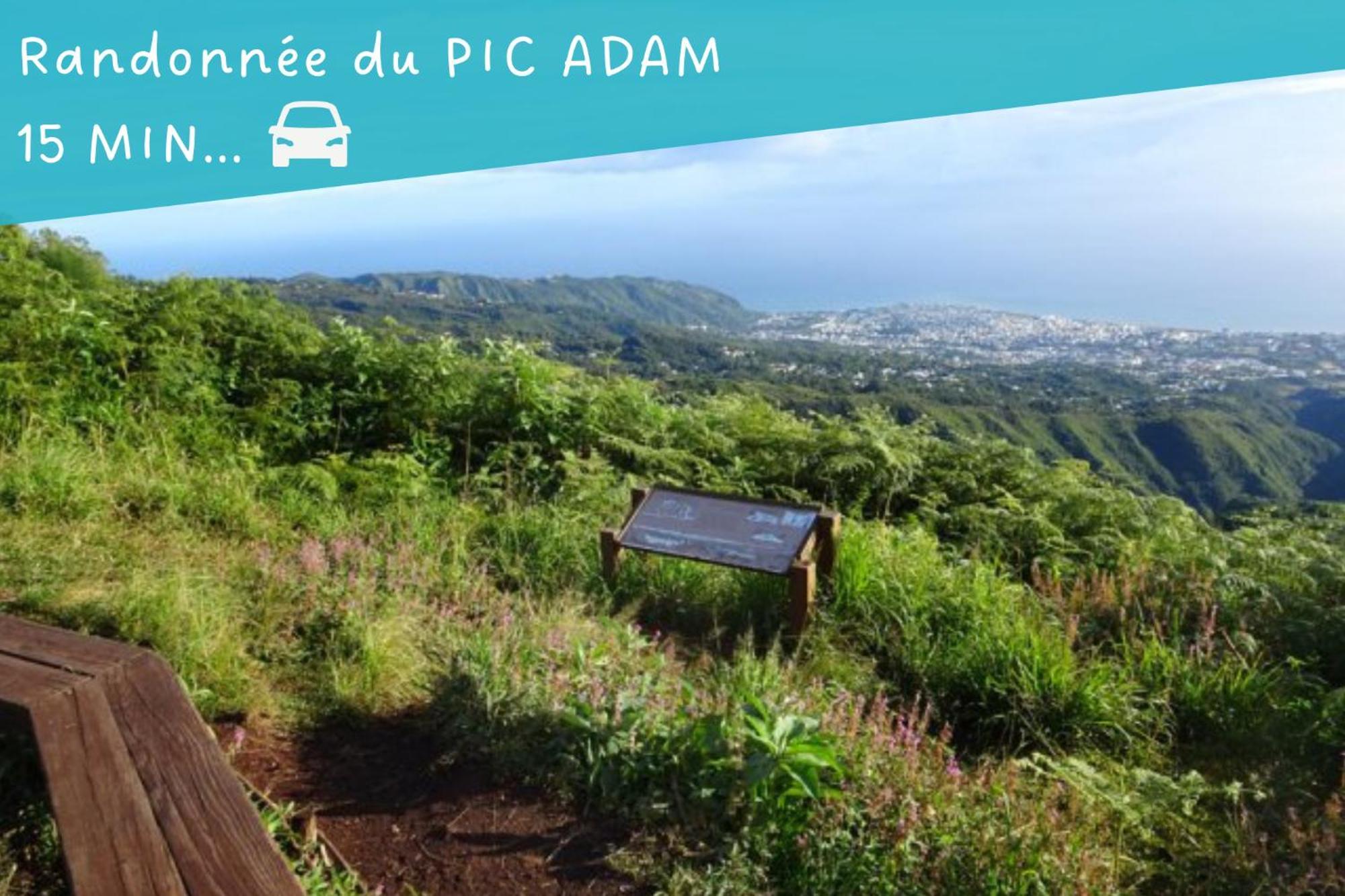 Entree Autonome-Ste Clotilde-Parking Appartement Saint-Denis Buitenkant foto